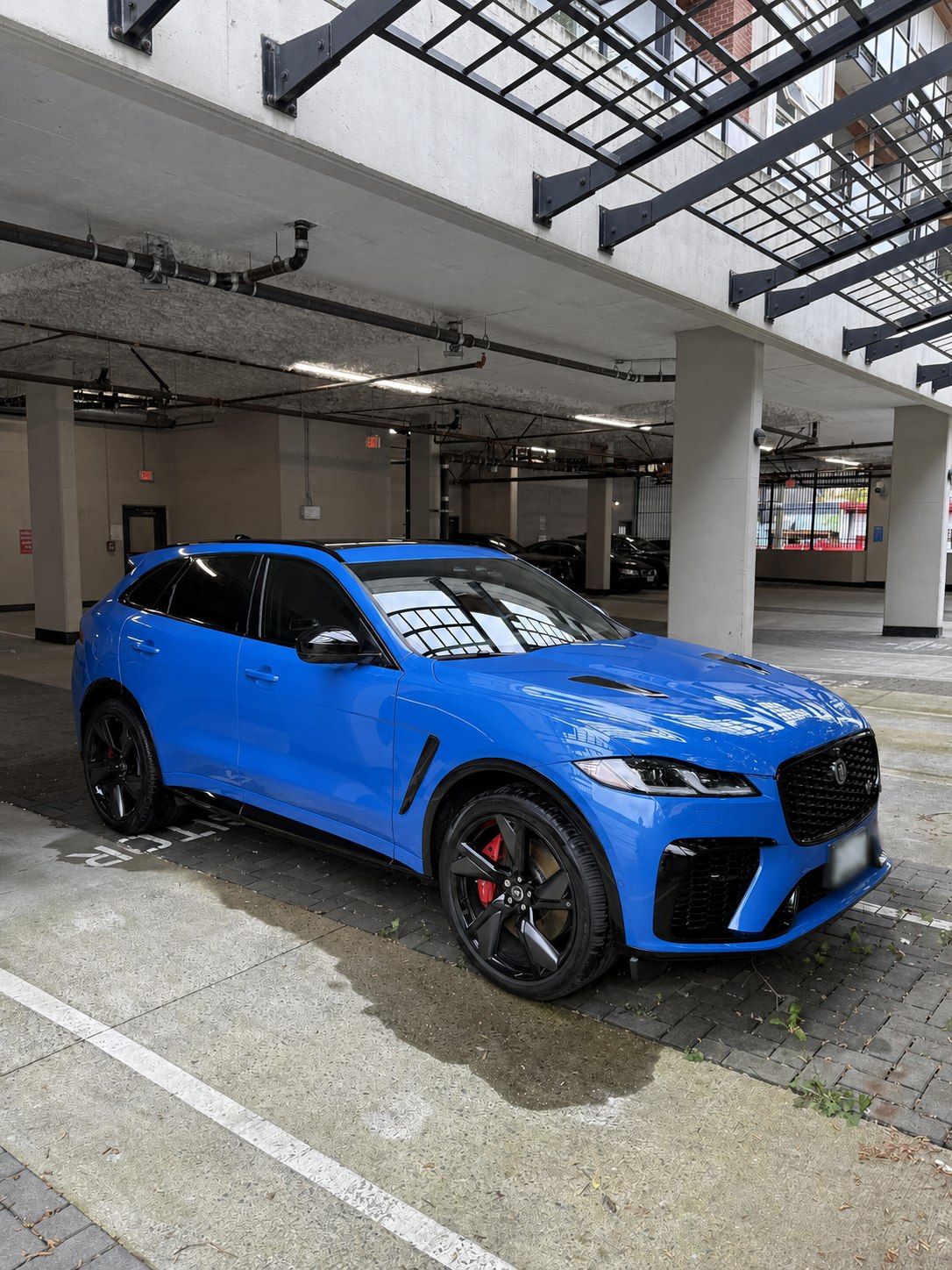Jaguar SVR after professional mobile detailing